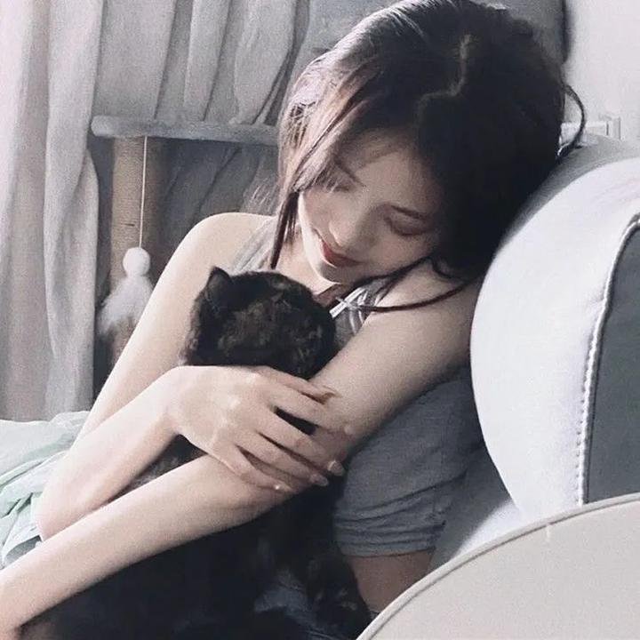 猎赝